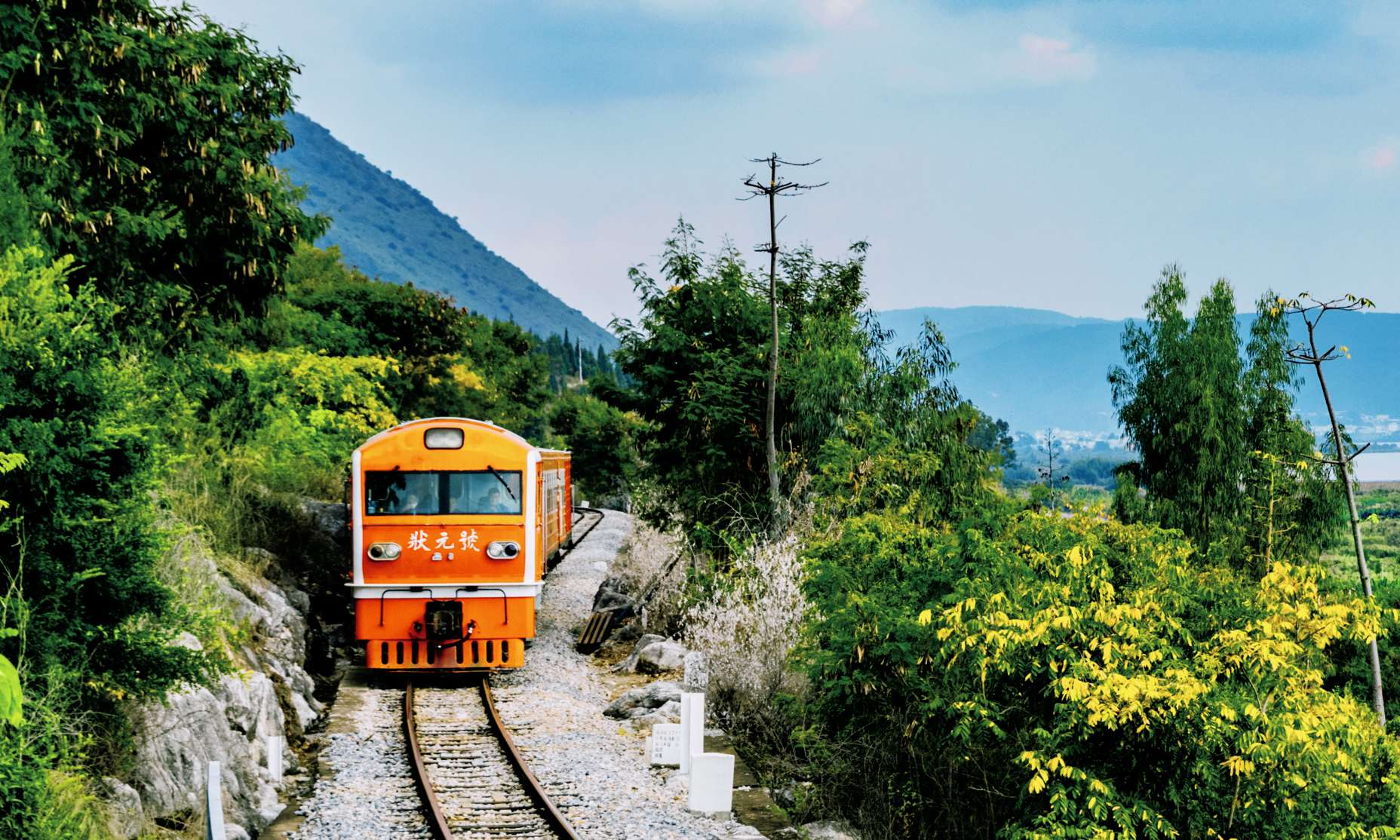 Shiping Narrow Gauge Train